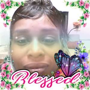 Meet your Posher, Roy